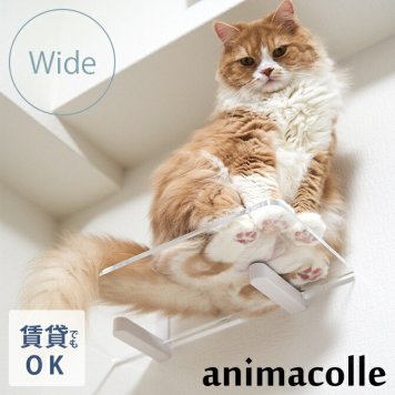 animacolle アニマコレ Catroad+  キャット ワイドステップクリア