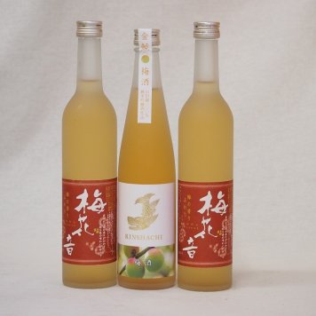 梅酒3本セット(金鯱梅酒 梅花音梅酒(岩手)) 500ml×3本