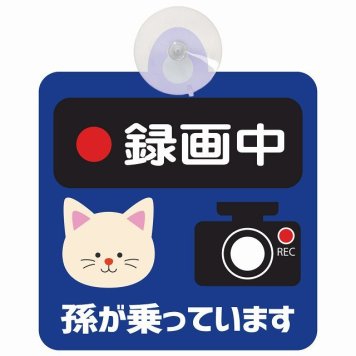 孫が乗っています 録画中 ねこ ネイビー セーフティサイン 吸盤タイプ 収れん火災防止タイプ 安全運転 車内用 煽り運転対策 安全対策 カーサイン イラスト かわいい