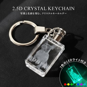 2.5D クリスタルキーホルダー《ペット》 (キーホルダー 名前入りキーホルダー クリスタル クリスタルガラス 立体 2.5D LEDライト付き 名前入り 記念 記念品 思い出 愛犬 愛猫)