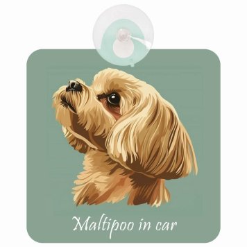 Maltipoo マルプー Aタイプ 車 窓ガラス 吸盤タイプ 犬 かっこいい おしゃれ イラスト付 DOG IN CAR ドッグインカー ドッグオンボード 安全対策 セーフティサイン デコ 外出 ドライブ カーサイン 吸盤