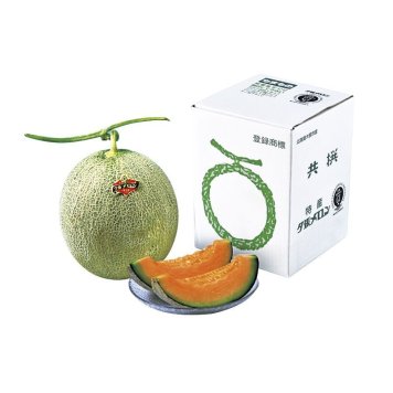 お中元 夕張メロン1玉 (820010) ※送料無料(北海道・沖縄・離島への配送不可)
