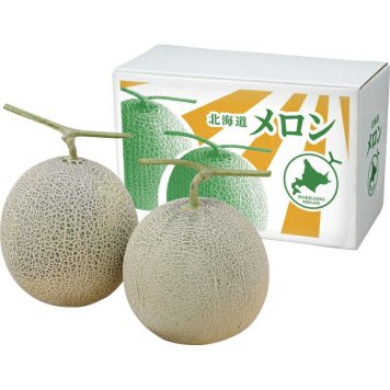 夏の贈り物お中元 北海道赤肉メロン（2玉） 北海道赤肉メロン（1.3kg）×2