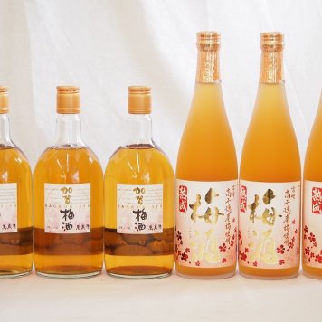 梅酒6本セット(加賀梅酒(石川県) 高千穂産梅使用熟成梅酒) 720ml×6本