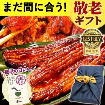 【まだ間に合う】 敬老の日 すぐ贈れるギフト 即日発送 うなぎ 国産 【浜松 浜名湖 うなぎのたなか】  誕生日 プレゼント 夏ギフト ギフト 鰻 うなぎのたなか 蒲焼き 誕生日プレゼント グルメギフト 送料無料  お祝い グルメ 人気 内祝い ご褒美 180～200g 2本 2尾 土用の丑 海鮮 食べ物 おつまみ 高級 風呂敷 2～3人前 40代 50代 60代 70代 80代