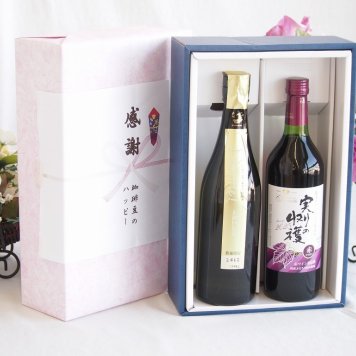 感謝の贈り物ボックス 贅沢な日本酒原酒しぼりたてと国産ワインセット(実りの収穫 赤ワイン やや甘口(山梨県)720ml金鯱 しぼっとる純米吟醸原酒(愛知県)720ml