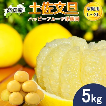 文旦 土佐文旦 家庭用 5kg L～3Lサイズ 9～11玉 ハッピーフルーツ果樹園 宿毛文旦 産直 高知産 宿毛 ぶんたん サイズ混合 産地直送 宿毛産 5キロ ジューシー まろやか ブンタン 南国土佐の樹上完熟文旦です【送料無料】