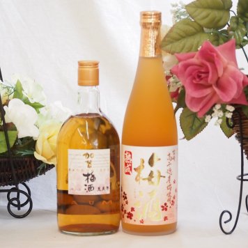 梅酒2本セット(加賀梅酒(石川県) 高千穂産梅使用熟成梅酒) 720ml×2本