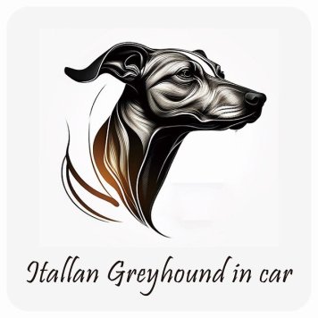 ドッグ カーステッカー イラスト付 Dog in Car イタリアングレーハウンド B タイプ セーフティサイン 犬種別 正方形 13x13cm シール リア あおり運転対策 Dog Sticker 屋外 屋内 防水 かわいい おしゃれ 安全対策 カーサイン