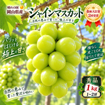 【予約】岡山県産 ぶどう シャインマスカット 1～2房 贈答用秀品 国産 フルーツ