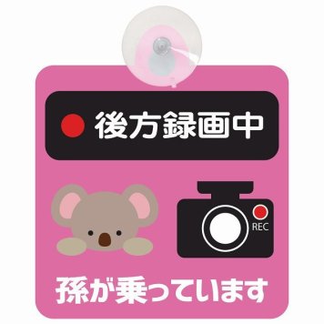 孫が乗っています 後方録画中 こあら ピンク セーフティサイン 吸盤タイプ 収れん火災防止タイプ 安全運転 車内用 煽り運転対策 安全対策 カーサイン イラスト かわいい