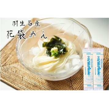 明治6年創業 花袋ひやむぎ１０入 ２００g×１０入（20人前）御中元 お歳暮 のし 対応可 乾麺 無添加 ギフト 保存食