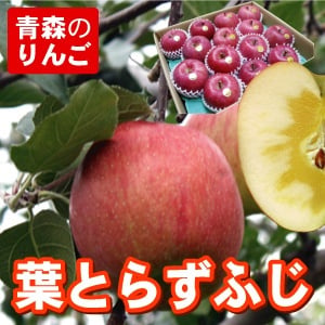 【11月中旬頃発送】一華ベジフル 送料無料 葉とらず サンふじ 家庭用 3C箱(3kg箱:約7～10個入) りんご 青森県産 蜜入りリンゴ 蜜入りりんご 訳あり 葉取らず 林檎 送料無料 ギフト 御歳暮 お歳暮 ギフト お試し フルーツ 果物 クリスマス お正月 2026