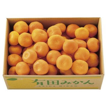 お歳暮 有田みかん4.5kg (2412265) ※送料無料(北海道・沖縄・離島への配送不可)