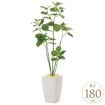 フェイクグリーン 鉢植え 大きい 観葉植物 鉢 アーバンスタイル ブランチウンベラータ 1.8m 光触媒 インテリアグリーン 大型 オフィス