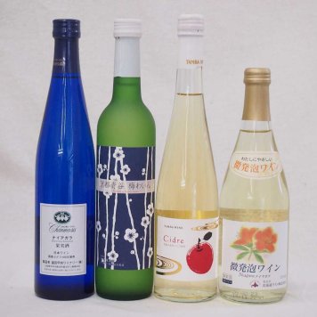 国産フルーツ甘口ワイン4本セット ナイヤガラ 京都青谷梅 丹波りんごワイン微発砲ナイヤガラ 500ml×4本