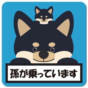 孫が乗っています 祖父母と孫 黒柴 ブルー カーサイン 車 マグネットステッカー マグネット 強力 13x13cm 正方形 防水 屋内 屋外 セーフティサイン 安全運転 車内用 煽り運転対策 安全対策 カーサイン イラスト かわいい