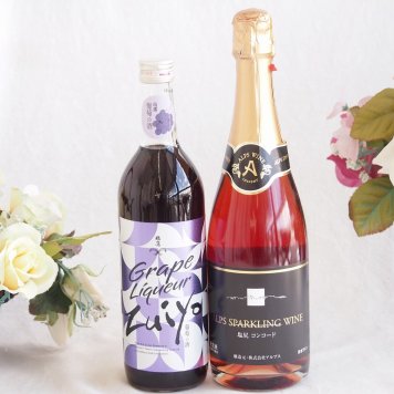 みずみずしくジューシーな風味の葡萄酒と国産ワインセット(塩尻コンコードスパークリングロゼワインやや甘口(長野県)720ml瑞鷹葡萄の酒10度(熊本県)720ml