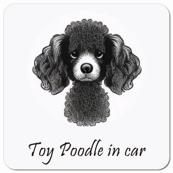 イラスト付 Dog in Car トイプードル Aタイプ カーサイン 車 マグネットステッカー 犬 マグネット 強力 13x13cm 正方形 おしゃれ かわいい ドラレコステッカー 安全対策 危険運転 煽り運転 アニマル 動物 犬種別 屋外 防水 屋内