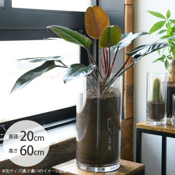FOYER ホワイエ PVシリンダー 直径20cm×高さ60cm クリア