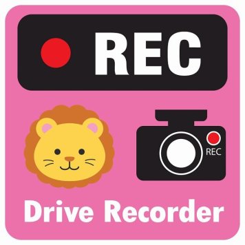 ドラレコ ステッカー シール REC Drive Recorder らいおん ピンク 13x13cm 正方形 おしゃれ かわいい ドラレコシール 安全対策 危険運転 煽り運転 前後 アニマル 動物 イラスト付 ドライブレコーダー 録画 カーサイン
