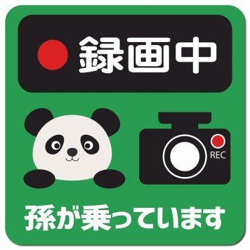 孫が乗っています 録画中 ぱんだ グリーン カーサイン 車 マグネットステッカー マグネット 強力 13x13cm 正方形 防水 屋内 屋外 セーフティサイン 安全運転 車内用 煽り運転対策 安全対策 カーサイン イラスト かわいい