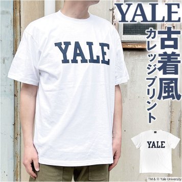 yale tシャツ 通販 Tシャツ ティーシャツ 半袖 半袖Tシャツ メンズ レディース クルーネック 丸首 カレッジロゴ カットソー イェール トップス カジュアル シンプル おしゃれ オシャレ かっこいい アメリカンカレッジ アメカジ YLAG-047
