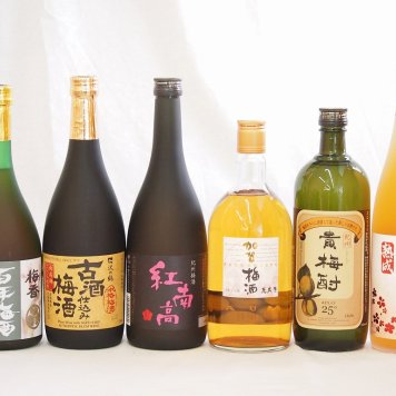 梅酒6本セット(加賀梅酒(石川県) 貴梅酎スピリッツ25度(和歌山) 古酒仕込み梅酒 紅南高梅酒20度(和歌山) 高千穂産梅使用熟成梅酒 梅香 百年梅酒(茨城)) 720ml×6本