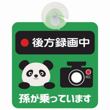孫が乗っています 後方録画中 ぱんだ グリーン セーフティサイン 吸盤タイプ 収れん火災防止タイプ 安全運転 車内用 煽り運転対策 安全対策 カーサイン イラスト かわいい