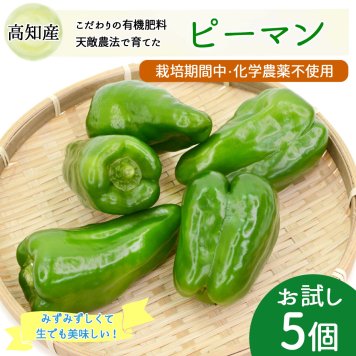 ピーマン おためし5個 天敵農法 かめのこ農園 栽培期間中 化学農薬 化学肥料不使用 高知産 国産 安心 安全 産地直送 野菜【送料無料】