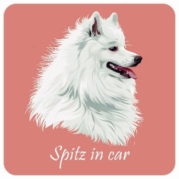 ドッグ カーステッカー イラスト付 Dog in Car スピッツ Bタイプ セーフティサイン 犬種別 正方形 13x13cm シール リア あおり運転対策 Dog Sticker 屋外 屋内 防水 かわいい おしゃれ 安全対策 カーサイン
