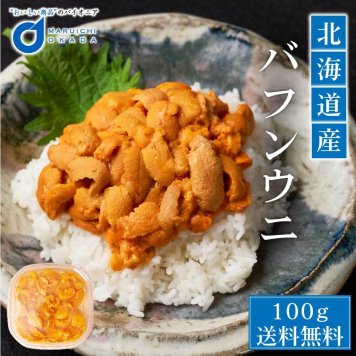 ウニ 塩水  北海道産 バフンウニ うに 100g 冷蔵 バフン 生ウニ 雲丹 北海道 グルメ 塩水ウニ 寿司 贈り物 お取り寄せ 刺身 母の日 ギフト プレゼント 人気 【冷凍】【生鮮】