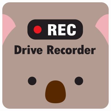 ドラレコ ステッカー シール REC Drive Recorder こあら おでこ 13x13cm 正方形 おしゃれ かわいい ドラレコシール 安全対策 危険運転 煽り運転 前後 アニマル 動物 イラスト付 ドライブレコーダー 録画 カーサイン