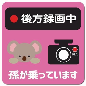 孫が乗っています 後方録画中 こあら ピンク カーサイン 車 マグネットステッカー マグネット 強力 13x13cm 正方形 防水 屋内 屋外 セーフティサイン 安全運転 車内用 煽り運転対策 安全対策 カーサイン イラスト かわいい