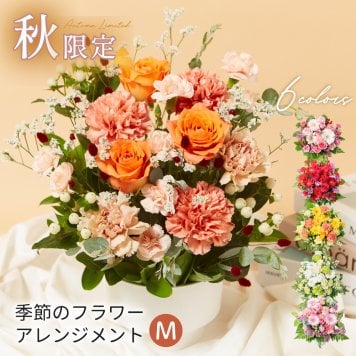 フラワーギフト カラフルガーデンフラワーアレンジメント Mサイズ 生花 花市場から直送 父の日  お祝い 誕生日 記念日