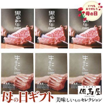 母の日 ギフト プレゼント 但馬屋 カレー 詰合せ 6食セット｜但馬屋牛たんカレー200g、但馬屋黒毛和牛ビーフカレー180g×各3｜お届け期間【5月8日～5月10日】 お取り寄せ グルメ 食品 お礼 贈物