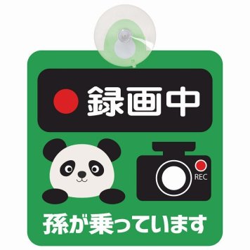 孫が乗っています 録画中 ぱんだ グリーン セーフティサイン 吸盤タイプ 収れん火災防止タイプ 安全運転 車内用 煽り運転対策 安全対策 カーサイン イラスト かわいい