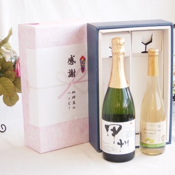 感謝の贈り物ボックス 穂坂甲州種ぶどう100%辛口スパークリングワインと国産ワインセット(信州シャインマスカット＆ナイアガラ スパークリングワインやや甘口(長野県)500mlシャンモリ柑橘香 穂坂甲州スパークリングワイン(山梨県)750ml