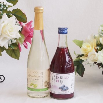 国産果物ワイン2本セット(シャインマスカット＆ナイアガラ 信州の巨峰) 500ml×2本