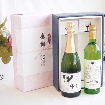 感謝の贈り物ボックス 穂坂甲州種ぶどう100%辛口スパークリングワインと国産ワインセット(山梨 甲州 白ワイン やわらかな辛口(山梨県)750mlシャンモリ柑橘香 穂坂甲州スパークリングワイン(山梨県)750ml