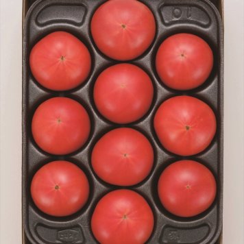 送料無料 北海道産地直送  フルーツトマトはるかエイト約800g  ※ご注文後約7～10日前後での発送となります。沖縄・離島へは別途配送料が発生いたします お取り寄せグルメ スイーツ