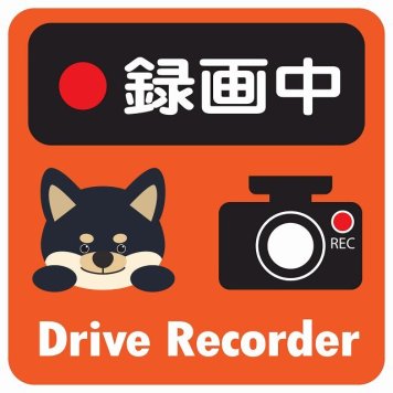 ドラレコ ステッカー シール 録画中 Drive Recorder 黒柴 オレンジ 13x13cm 正方形 おしゃれ かわいい ドラレコシール 安全対策 危険運転 煽り運転 前後 アニマル 動物 イラスト付 ドライブレコーダー REC  カーサイン