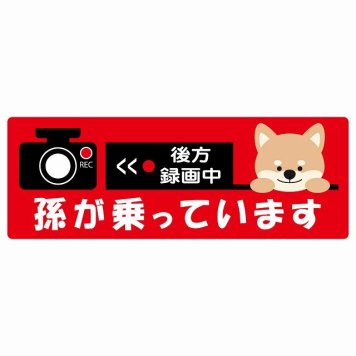 孫が乗っています 後方録画中 いぬ レッド サインステッカー シール 車 ステッカー 長方形 14x5cm 防水 屋内 屋外 セーフティサイン 安全対策 車用 安全運転 煽り運転対策 安全対策 かわいい イラスト カーサイン