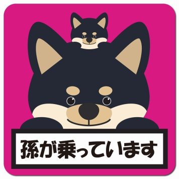 孫が乗っています 祖父母と孫 黒柴 ピンク カーサイン 車 マグネットステッカー マグネット 強力 13x13cm 正方形 防水 屋内 屋外 セーフティサイン 安全運転 車内用 煽り運転対策 安全対策 カーサイン イラスト かわいい