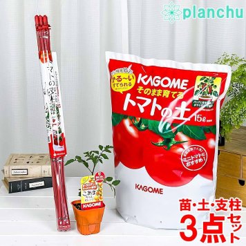 ベランダ菜園 野菜栽培セット カゴメ ミニトマト苗 こあまちゃんオレンジ （苗 培養土 支柱 3点セット） KAGOME トマト栽培セット 家庭菜園 簡単