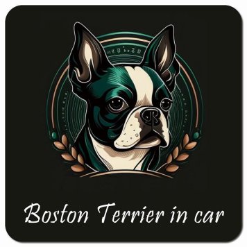 イラスト付 Dog in Car ボストンテリア Bタイプ カーサイン 車 マグネットステッカー 犬 マグネット 強力 13x13cm 正方形 おしゃれ かわいい ドラレコステッカー 安全対策 危険運転 煽り運転 アニマル 動物 犬種別 屋外 防水 屋内