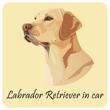 ドッグ カーステッカー イラスト付 Dog in Car ラブラドールレトリバー Bタイプ セーフティサイン 犬種別 正方形 13x13cm シール リア あおり運転対策 Dog Sticker 屋外 屋内 防水 かわいい おしゃれ 安全対策 カーサイン