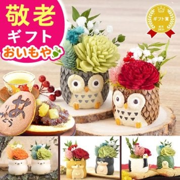 敬老の日 即日発送 誕生日 プレゼント 花 ギフト プリザーブドフラワー アニマル 動物 ペア ミニ 小さい かわいい おしゃれ ふくろう 犬 猫 バラ 薔薇 一輪 セット どら焼き どらやき 送料無料 スイーツ お菓子 和菓子 ギフトセット 母 実母 自分の母 義母 妻 40代 50代 60代 70代 花セット 花とお菓子 おいもや 誕生日期間 翌日配送 不可