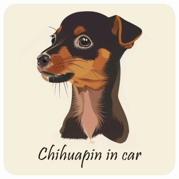ドッグ カーステッカー イラスト付 Dog in Car チワピン Aタイプ セーフティサイン 犬種別 正方形 13x13cm シール リア あおり運転対策 Dog Sticker 屋外 屋内 防水 かわいい おしゃれ 安全対策 カーサイン