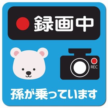 孫が乗っています 録画中 しろくま ライトブルー カーサイン 車 マグネットステッカー マグネット 強力 13x13cm 正方形 防水 屋内 屋外 セーフティサイン 安全運転 車内用 煽り運転対策 安全対策 カーサイン イラスト かわいい